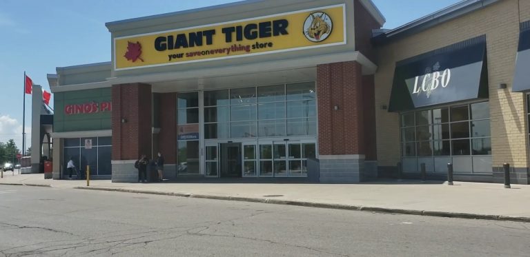 Giant Tiger Survey